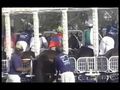 Golden Hoard Daily News 2000