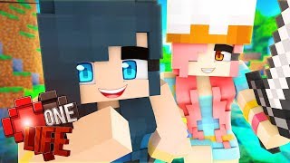 MINECRAFT ONE MOAR LIFE!