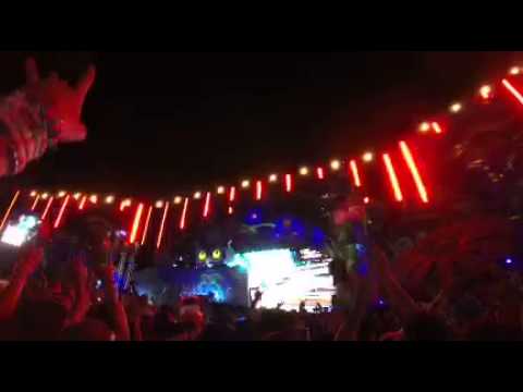 EDC 2013 - Eric Prydz