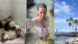 living alone in Hawaii ~ VLOG ~ HIKING ~  life with an Australian Shepherd
