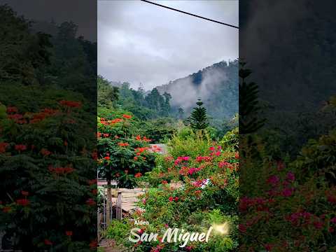 Aldea San Miguel Mataquescuintla Y su hermosa Paisaje #bosques #AldeaSanMiguel #turismonacional