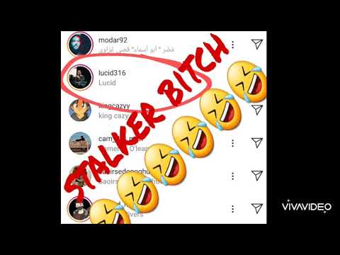 100 kufis #Lucidiss 🤣🤣🤣🤣🤣🤣 cash prize ( check description )