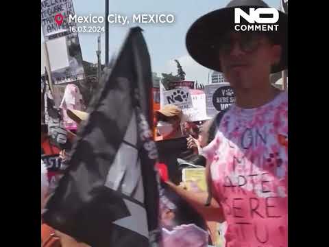 Video Thumbnail: Protesters in Mexico call for greater rights for animals