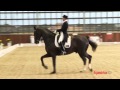 Caroline Wagner And Tango V Grand Prix Special