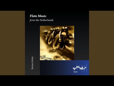 Concerto No. 7 in D Minor: I. Allegro non troppo