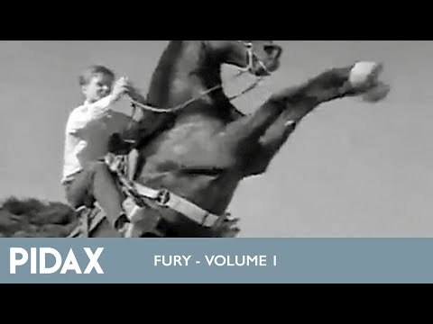 Pidax - Fury - Die Geschichte eines Pferdes (1955 - 1960, TV-Serie)