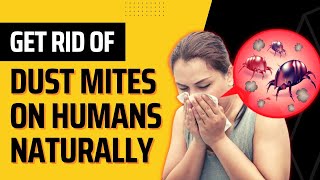 How to Get Rid Of Dust Mites On Humans Naturally (Fast Home Remedies) - Top Repellents