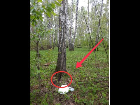 A-PVP - ГОВНО и ЯД. Как альфа пвп губит человека Паранойя и бэдтрипы от СОЛИ.