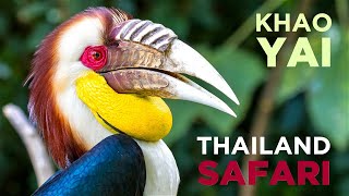 KHAO YAI, THAILAND: Best Jungle SAFARI for elephants, gibbons & bats!