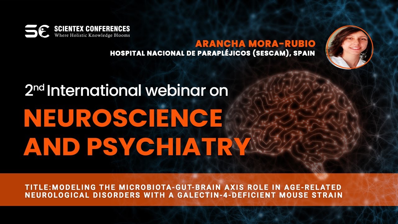 Modeling the microbiota-gut-brain axis role in age-related neurological disorders with a galectin-4-deficient mouse strain