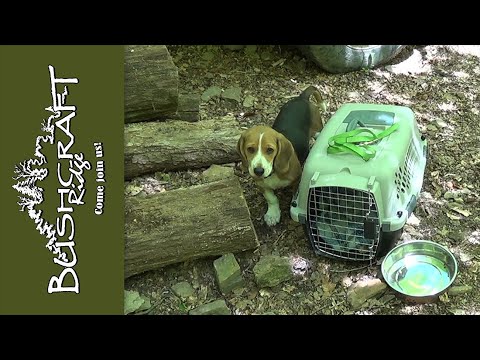 Introducing Oliver D. Greene