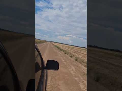 Campo 200has. /Cnel. Bogado, Paraguay