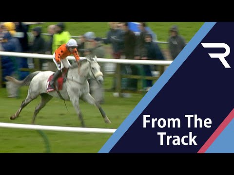 GREY ABBEY blows them away in the 2004 Scottish Grand National - A ONE-HORSE RACE, under top weight!