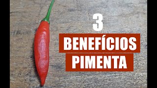 3 BENEFÍCIOS DA PIMENTA DEDO-DE-MOÇA PARA A SAÚDE