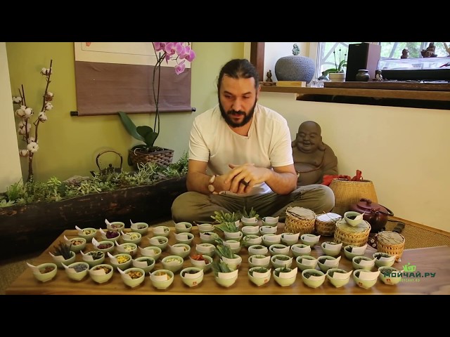 Большой обзор! Травы и чай, май 2017.