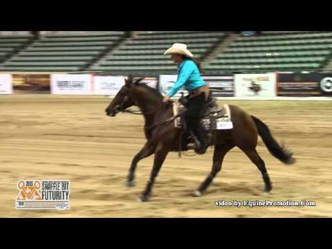 Powder Rivers Prize 2015 Snaffle Bit Futurity Non Pro Limited