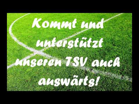 Intro TSG Stadtbergen-TSV Herbertshofen Saison 15/16
