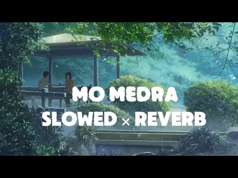 Mo Medra | Slowed × Reverb | Mame Alu × Dedrik × Ayejamp × Tshewang