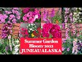 SUMMER GARDEN BLOOM 2022