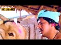 செண்பகமே செண்பகமே பாடல் Shenbagame Shenbagame Male Song Ma