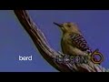 KUAT Station ID 1983 Cut In