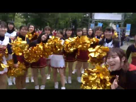【チアリーディング部】2019年YOSAKOIソーラン祭りオープニング演技