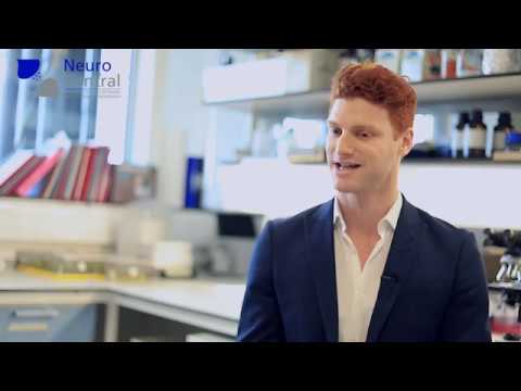 download lagu mp3 mp4 Punch Drunk Syndrome, download lagu Punch Drunk Syndrome gratis, unduh video klip Download Punch Drunk Syndrome Mp3 dan Mp4 Full Gratis