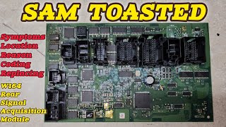 Rear SAM Module Failure – Warning Signs, Prevention & Coding Guide (W164)