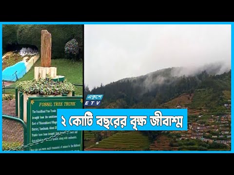 উটি বোটানিক্যাল গার্ডেন