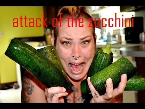download lagu mp3 mp4 Can Parrots Eat Raw Zucchini, download lagu Can Parrots Eat Raw Zucchini gratis, unduh video klip Can Parrots Eat Raw Zucchini