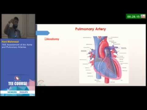 TEE assessment of the Aorta & Pulmonary arteries