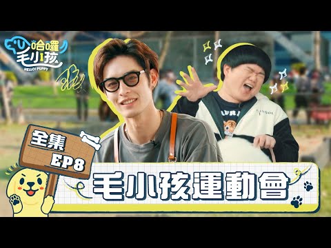 哈囉!毛小孩