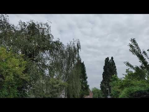 LG Velvet: video-sample (Full-HD 60fps)