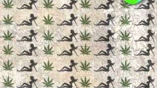 Shwayze &amp; Cisco Adler - Cali&#39; Trippin&#39; : Chill New HipHop