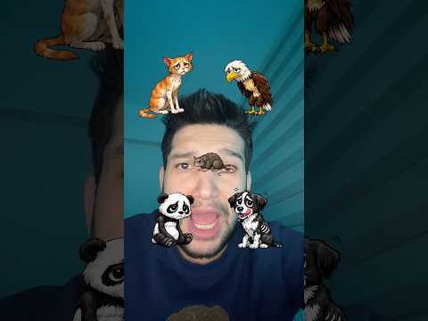 Hayvanlarla yemek eşleştirmesi ￼