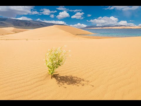 介紹蒙古 (Introducing Mongolia)