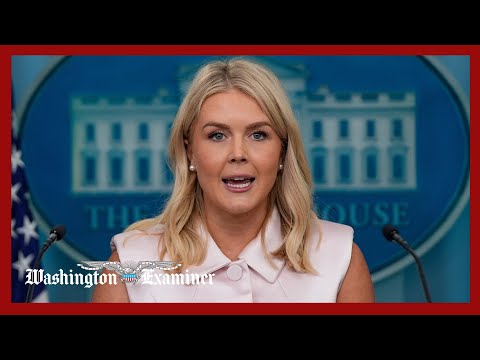 White House holds news briefing as Trump faces more questions over Epstein files