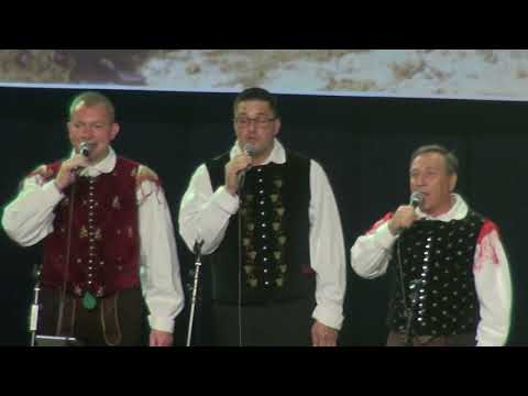 Brane Mešl s prijatelji - Selška dolina (v živo)