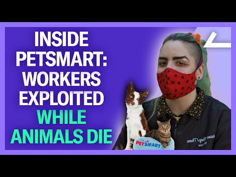 Petsmart Cary