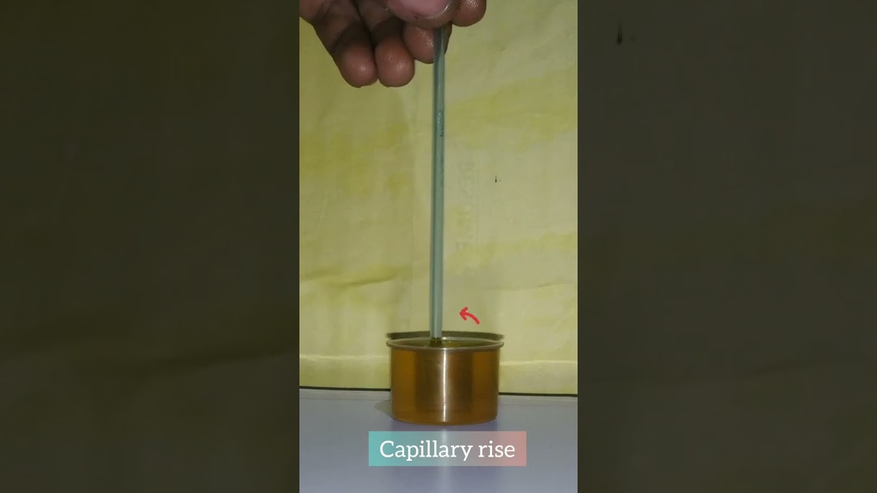 #🙏how to do capillary rise experiment✏️☺🙂👌