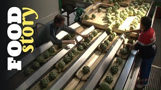 Thumbnail del capítulo