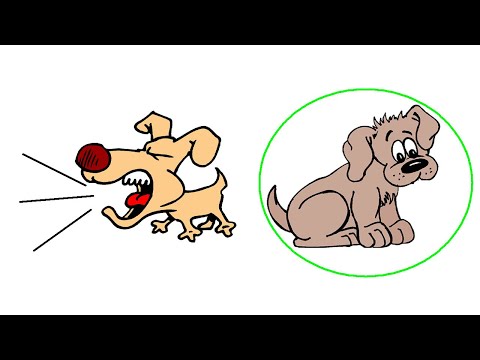 How to Sign Quiescence in Auslan