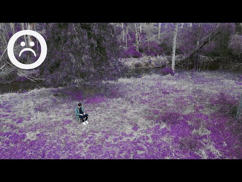 Yung Panda - Believe Me (Official Music Video)