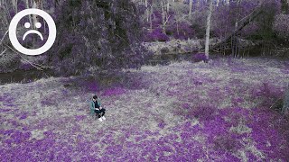 Believe Me Music Video