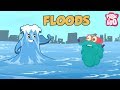 FLOODS - The Dr. Binocs Show | Best Learning Videos For Kids | Peekaboo Kidz