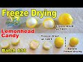 Batch 636 Lemonhead Candy