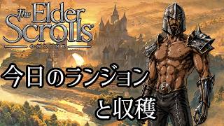 ≪ESO≫スキングラードの見学：宝の地図に想いを馳せて（不発）!！≪PC版≫