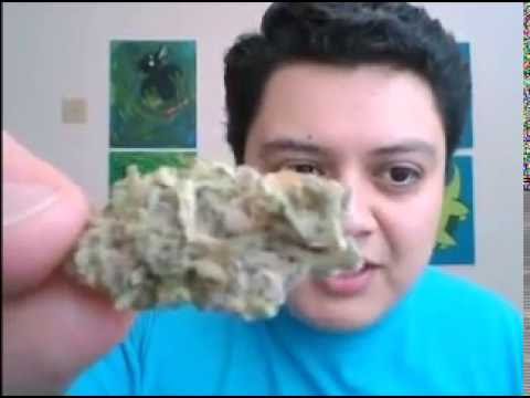 download lagu mp3 mp4 Grape Escape Strain, download lagu Grape Escape Strain gratis, unduh video klip Grape Escape Strain