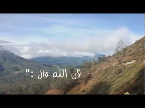 r7makrbi’s Video 40910032765 9hQuGUoymV8