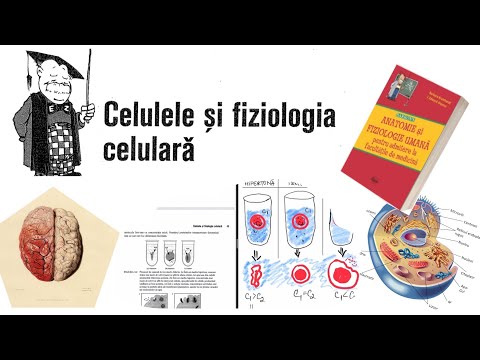 ADMITERE MEDICINA: Barron’s- Capitolul 3 / partea 1 (Celulele si fiziologia celulara)